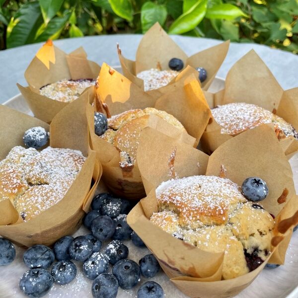 Heidelbeer-Muffins