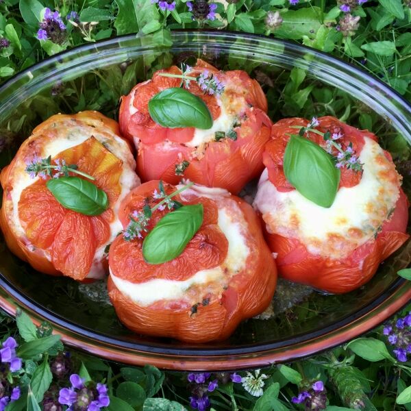 Gefüllte Ochsenherztomaten