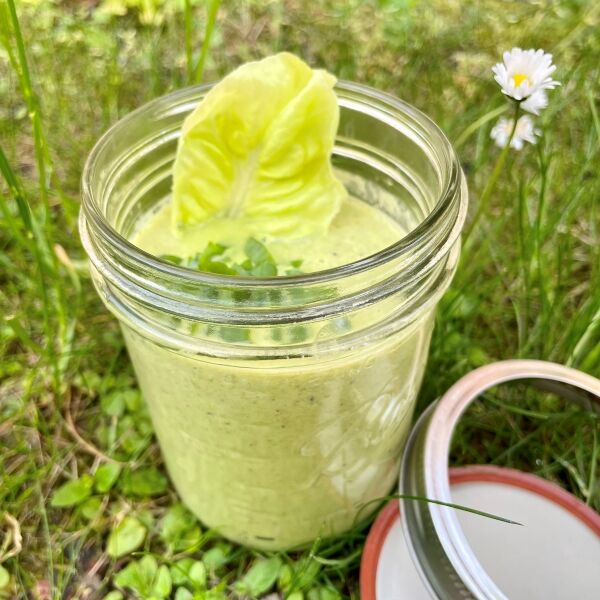 Gekühlte Kopsalat-Suppe