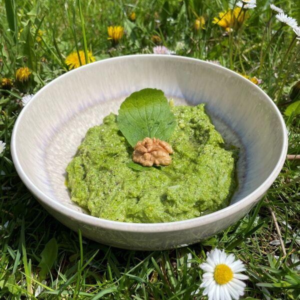 Radieschenblätter-Pesto
