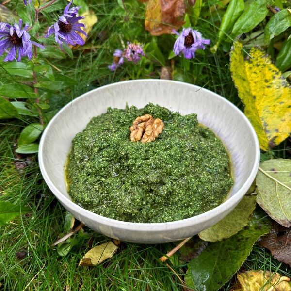 Schwarzkohl-Pesto