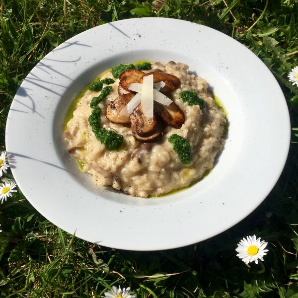 Pilz-Risotto mit Petersilien-Öl
