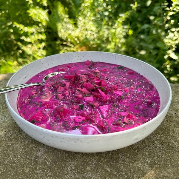 Kalter Borsch - Russische Sommersuppe