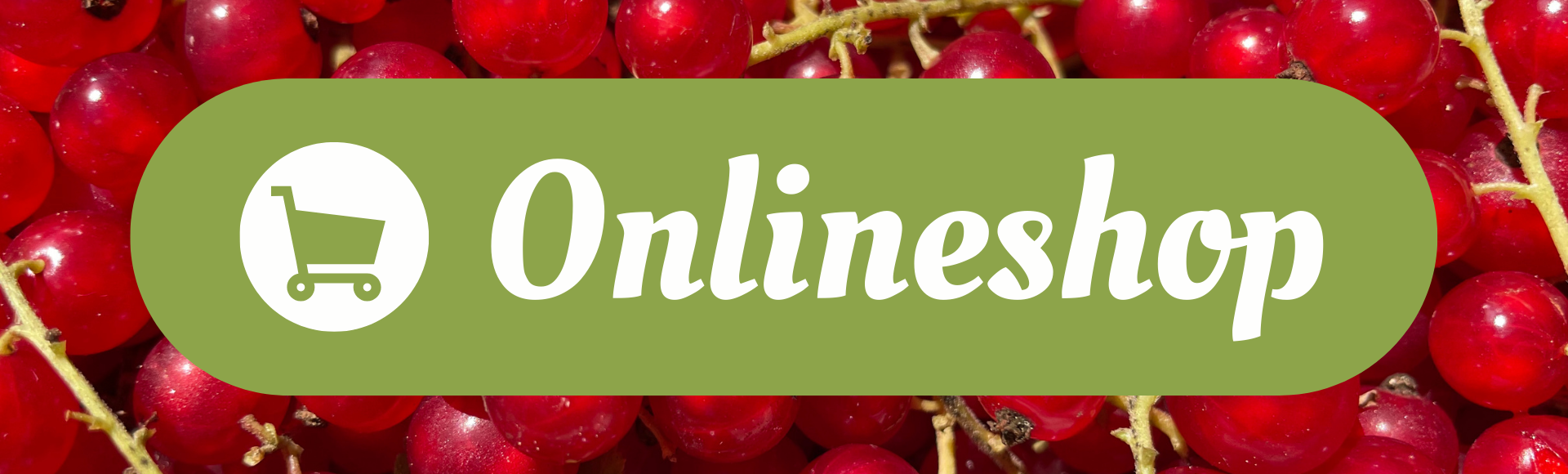 Onlineshop