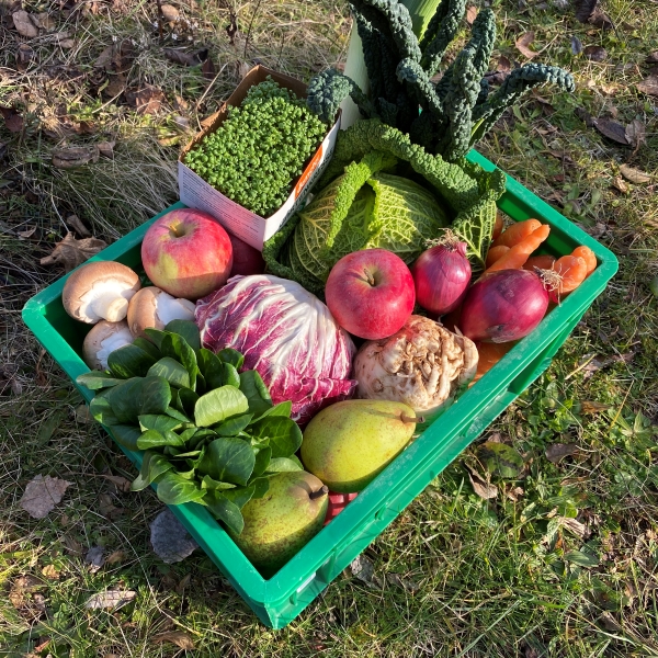 Foto einer Probekiste mit Gemüse und Obst